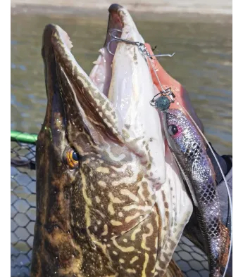 Savage Gear 3D Goby Shad