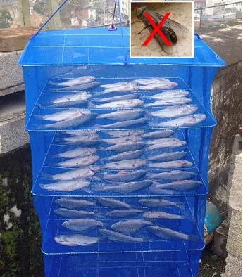 Kala kuivati "Runos"