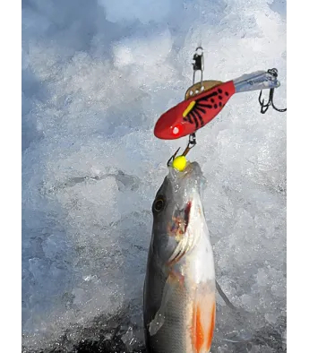 Lucky John Mebaru 47 mm