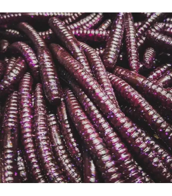 Perch Professor Flying Worm