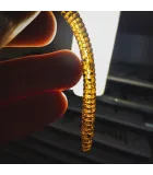 Perch Professor Flying Worm