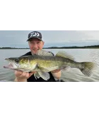 Daiwa Steez Stirring Shad