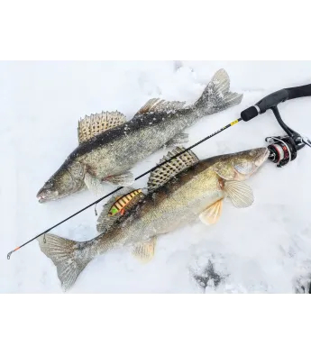 Taliritv Lucky John X-Tech Zanderix