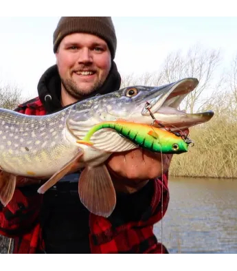 LMAB KØFI Perch Shad