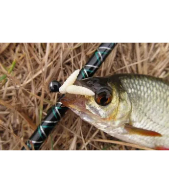 Kunstkärbsevastsed Maggot