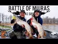 Strike Pro Miuras Mouse video