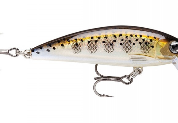 Jõekalandid Rapalalt