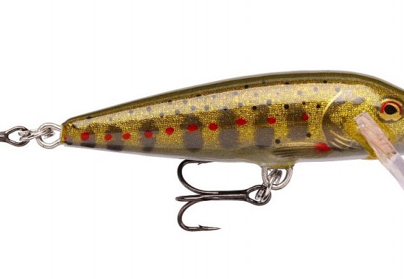 Jõekalandid Rapalalt